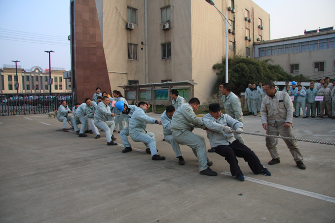 MK体育(国际)官方网站开展“喜迎新年”系列活动
